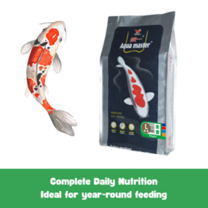 Aqua Master Koi Food Staple - 10KG (L)