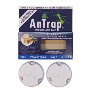 Protek AnTrap - Indoor Ant Bait - 10g