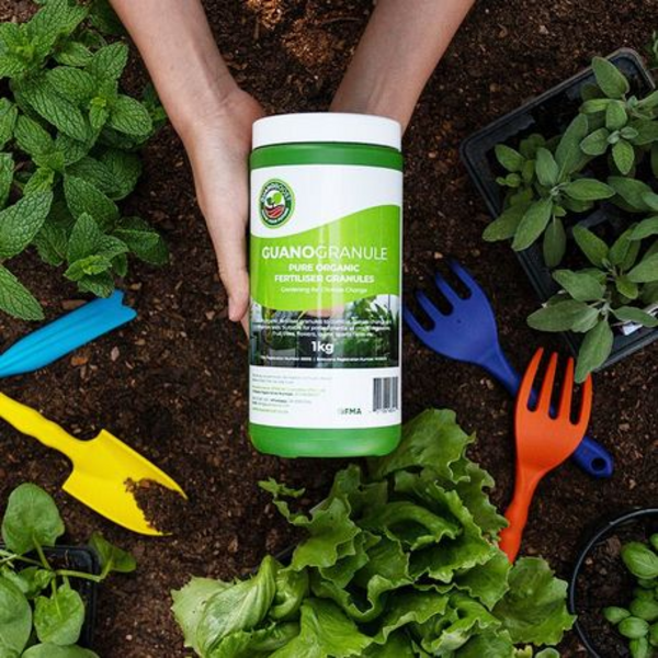 Guanoboost 1kg Organic Fertilizer for Indoor Plants - Image 2