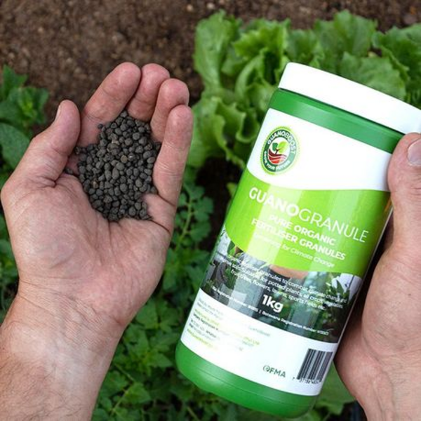 Guanoboost 1kg Organic Fertilizer for Indoor Plants - Image 3
